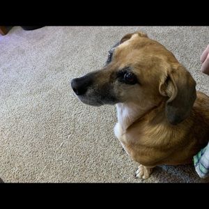 Meet your Posher, Zoe